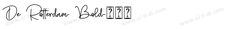 De Rotterdam Bold字体转换